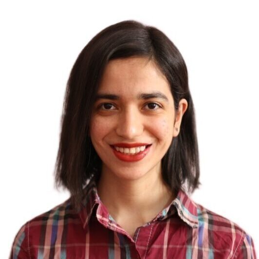 Faezeh Hosseini Mohammadabadi